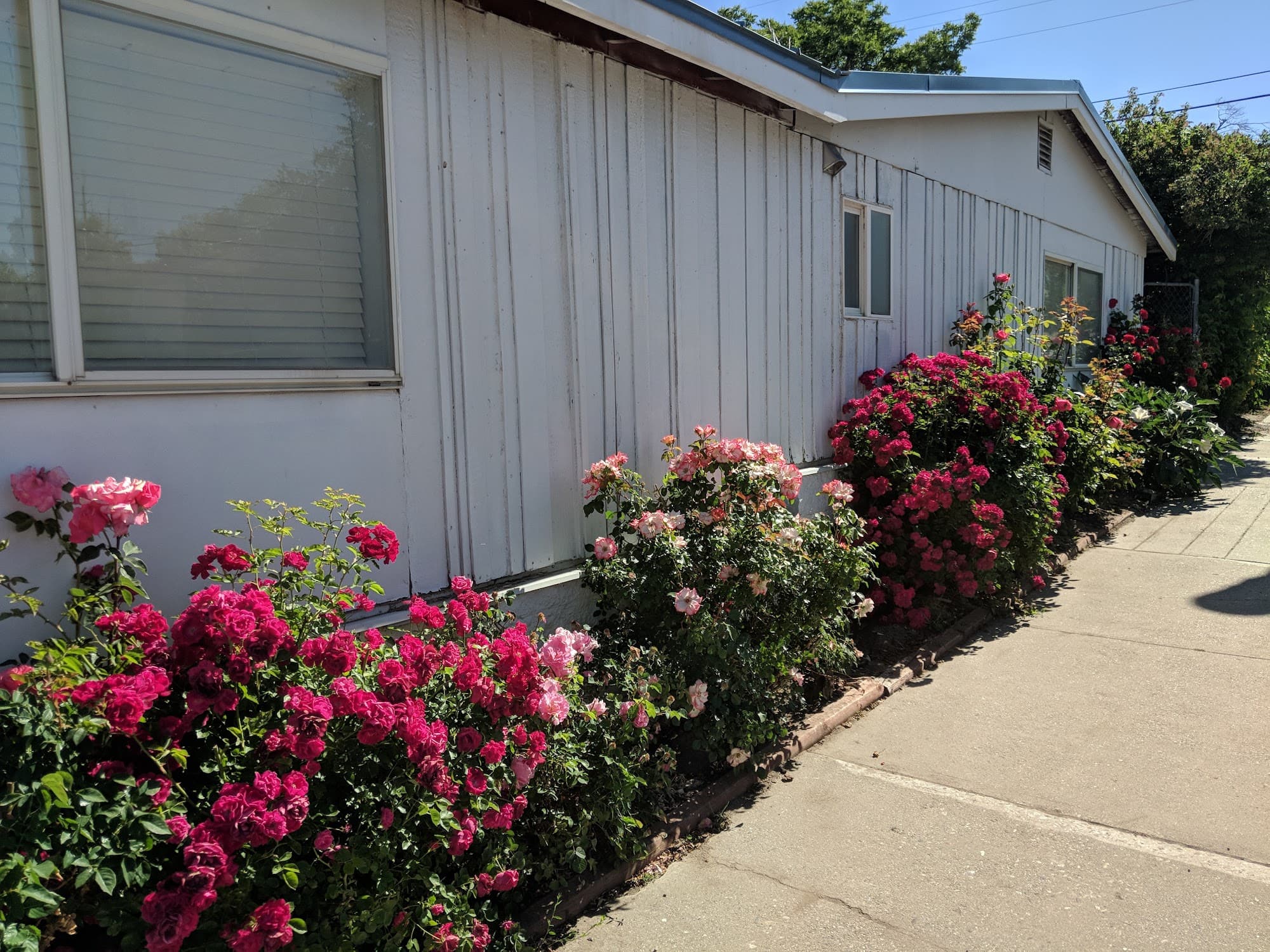 Deluxe Queen Suite at Majestic Rockies Motel